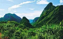 走进海南热带雨林国家公园，探寻昌江大山深处的雨林秘境