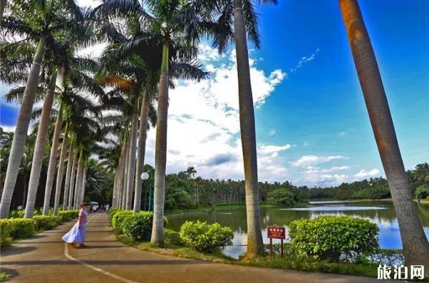 海南兴隆热带植物园开放了吗 2020兴隆热带植物园开放时间