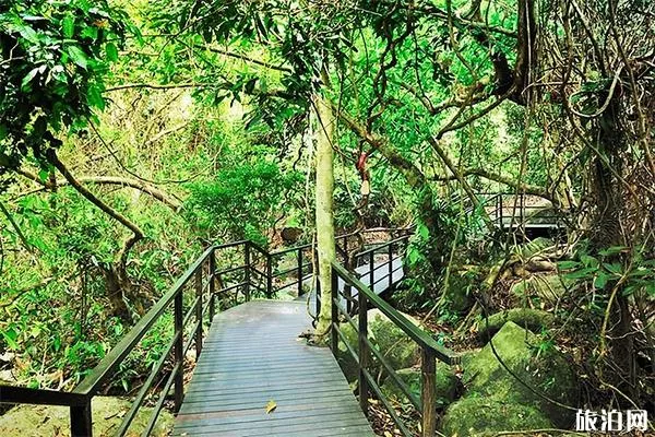 海南呀诺达热带雨林在哪里 附游览路线