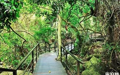 海南呀诺达热带雨林在哪里 附游览路线