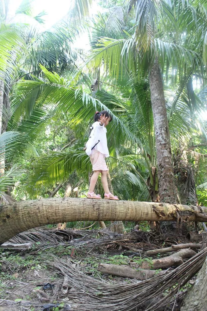 海南自助游攻略 海南自助游攻略