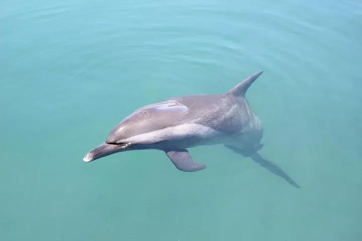 海南自助游攻略