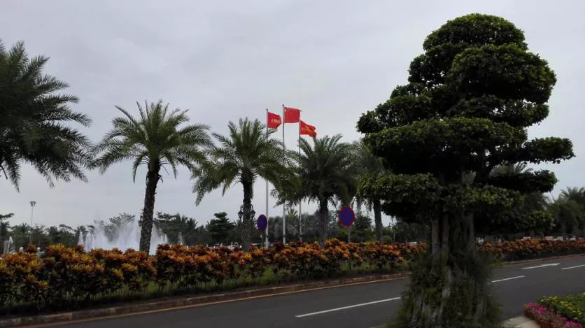 从海南到广州 海南到广州自由行攻略 从海南到广州 海南到广州自由行攻略