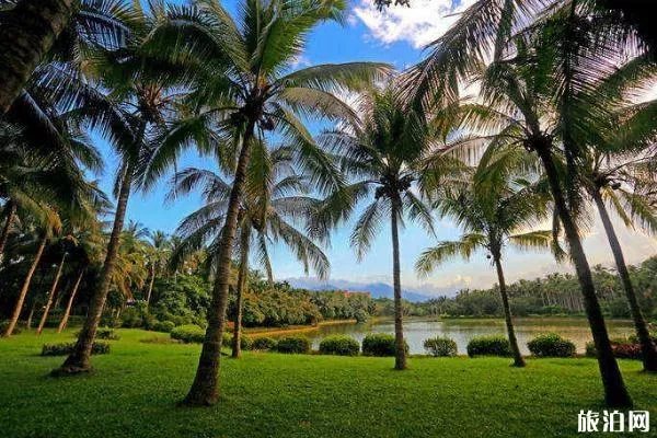 海南万宁兴隆热带植物园门票多少钱 开放时间 海南万宁兴隆热带植物园门票多少钱 开放时间