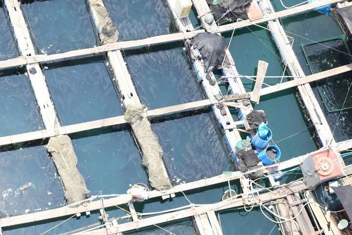 海南自助游攻略 海南自助游攻略