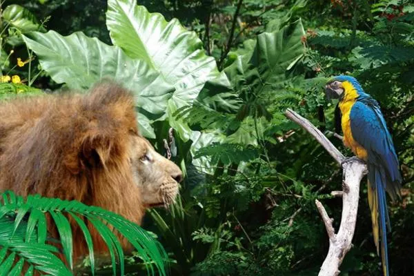 2021海南热带野生动植物园门票优惠及游玩攻略