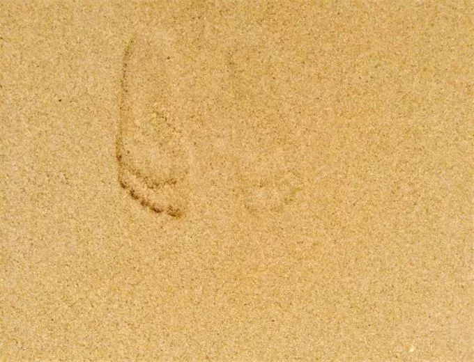三亚有哪些旅游景点 去三亚旅游要多少钱 三亚有哪些旅游景点 去三亚旅游要多少钱