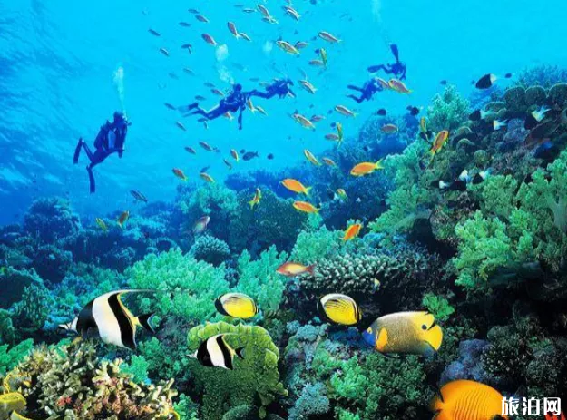 海南亚龙湾海底世界怎么样 海南亚龙湾海底世界怎么样