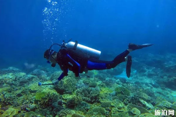 三亚考潜水证需要多少钱-潜水地点推荐