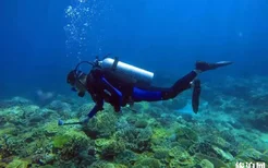 三亚考潜水证需要多少钱-潜水地点推荐