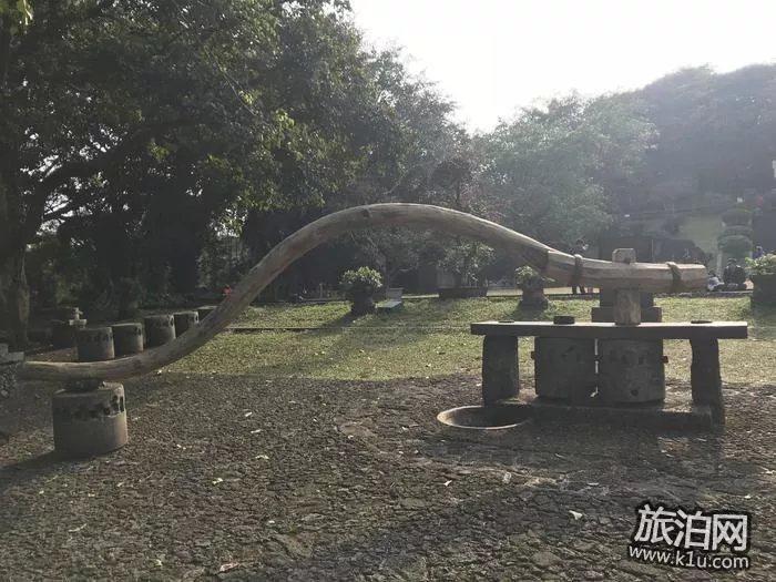 海口火山口公园好玩吗 门票价格优惠 海口火山口公园好玩吗 门票价格优惠