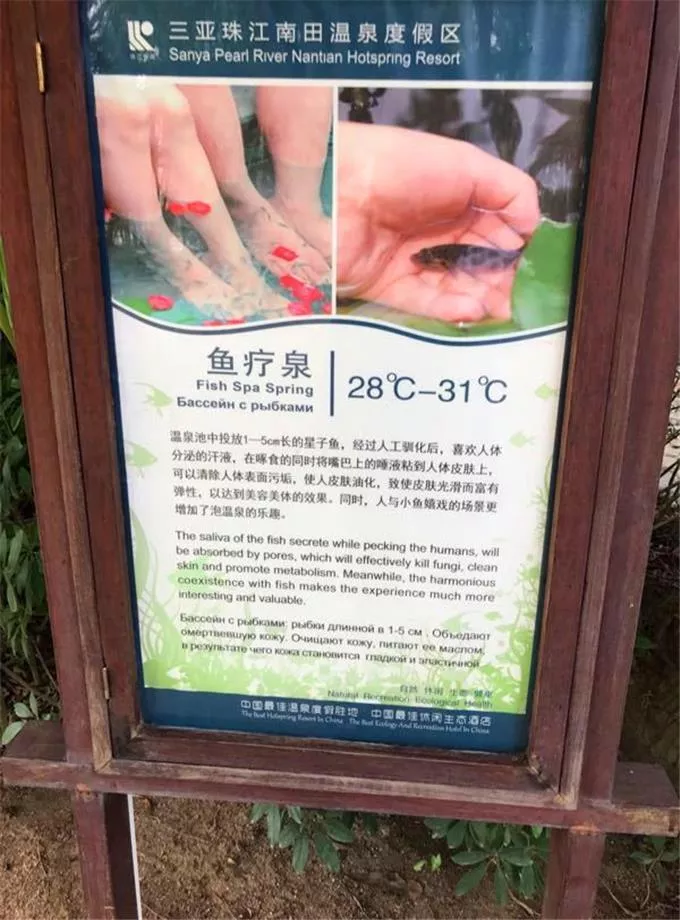 三亚有哪些旅游景点 去三亚旅游要多少钱 三亚有哪些旅游景点 去三亚旅游要多少钱