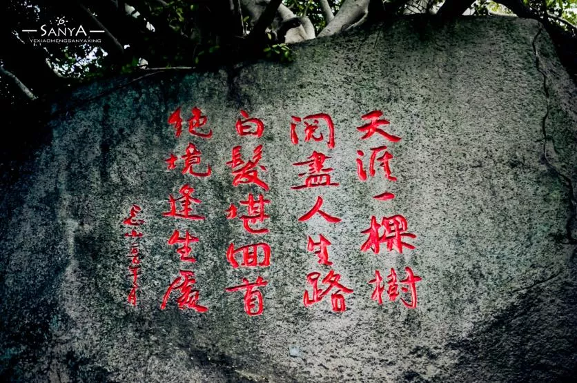 2020三亚旅游攻略自由行 2020三亚旅游攻略自由行