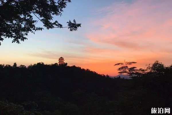 临春岭森林公园地址 三亚临春岭森林公园坐几路车 临春岭森林公园地址 三亚临春岭森林公园坐几路车