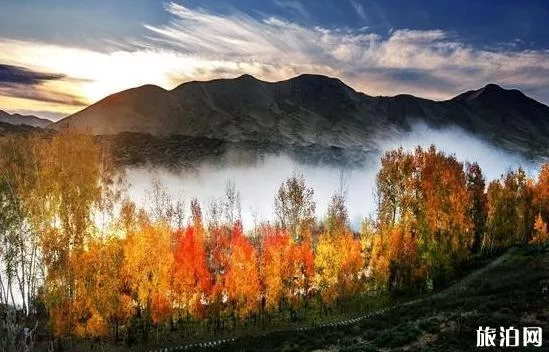 新疆白沙湖风景区门票及优惠政策 新疆白沙湖风景区旅游景点
