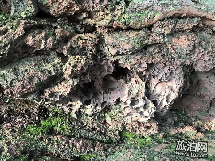 海口火山口公园好玩吗 门票价格优惠 海口火山口公园好玩吗 门票价格优惠