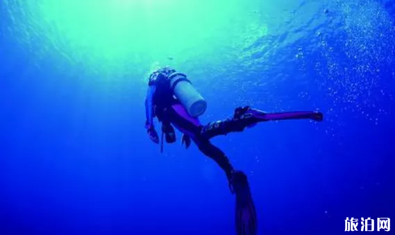 海南亚龙湾海底世界怎么样