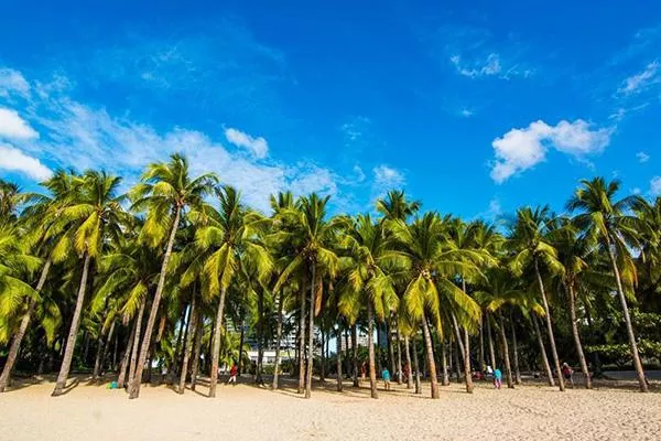 三亚春节旅游攻略 三亚最新旅游情况 三亚最新隔离政策