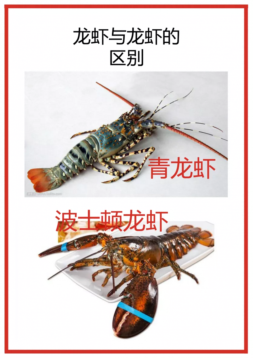 三亚吃海鲜攻略 三亚吃海鲜怎么划算 三亚吃海鲜攻略 三亚吃海鲜怎么划算