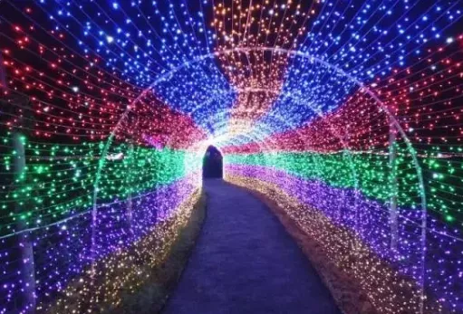 2018临安东方梦幻灯光秀门票价格 2018临安东方梦幻灯光秀门票价格