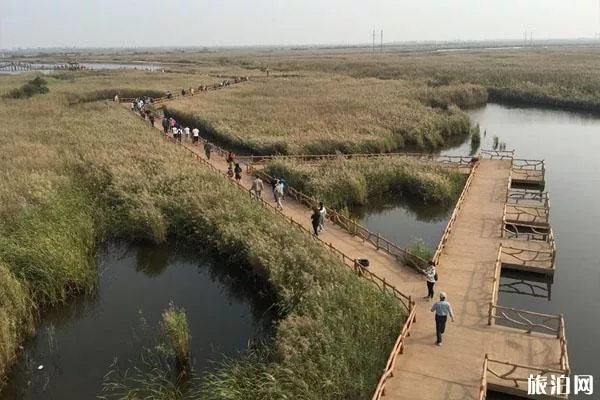 东营市黄河入海口在哪里 门票价格