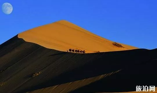 新疆白沙湖风景区门票及优惠政策 新疆白沙湖风景区旅游景点