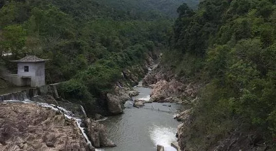 五指山风景区周边美食推荐 五指山风景区周边美食推荐