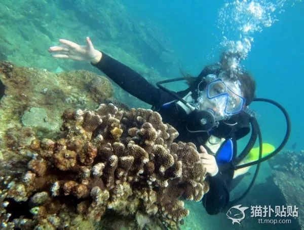 自己去三亚怎么玩儿 自己去三亚怎么玩儿