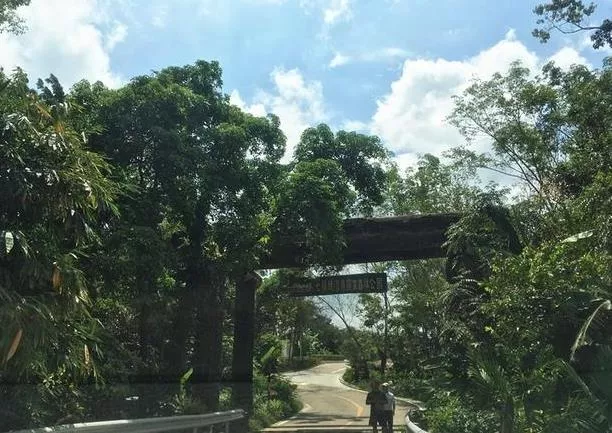 五指山风景区周边美食推荐 五指山风景区周边美食推荐