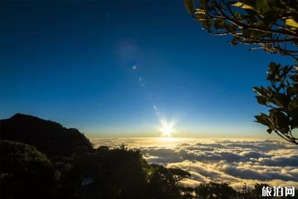 五指山登山攻略 五指山登山须知