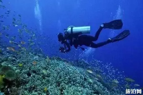 海南潜水哪里好