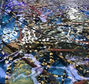 三亚旅游攻略自由行 三亚旅游攻略自由行