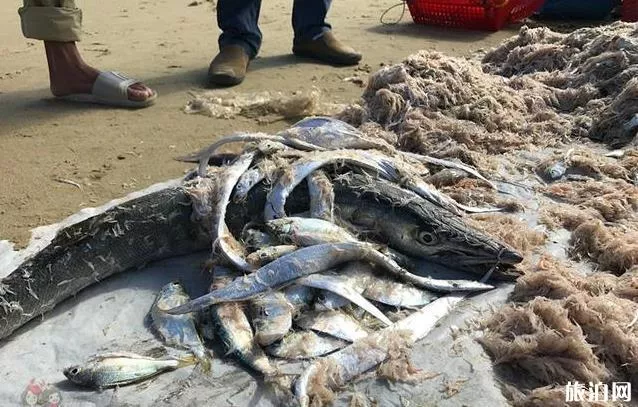 海南有哪些渔港码头 海南有哪些渔港码头