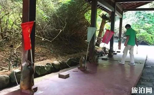 海南猴岛在哪 海南猴岛门票价格 海南猴岛攻略