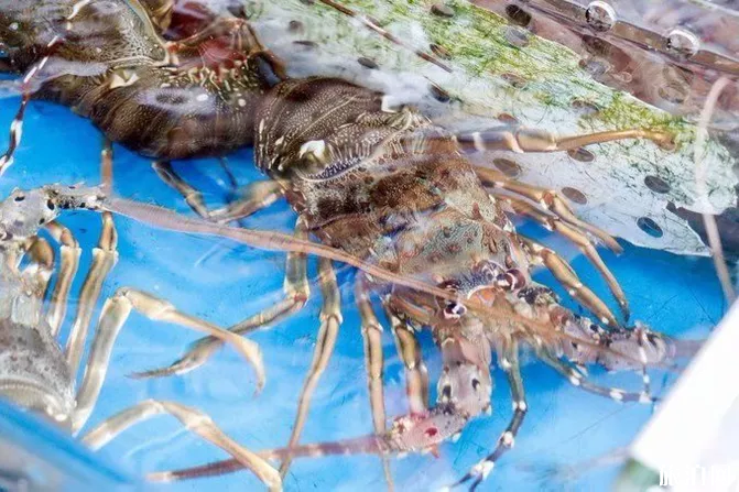 海口自驾游攻略及最佳路线 海口自驾游攻略及最佳路线