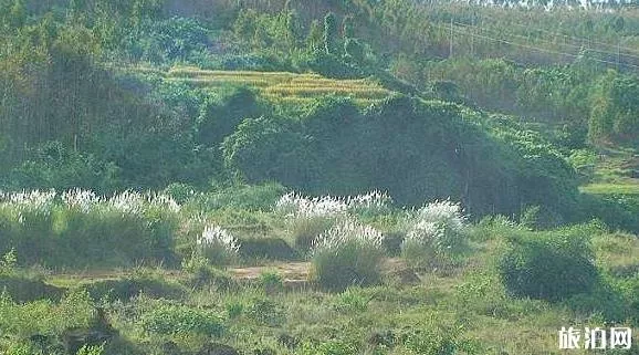 海南适合养老的地方在哪里 海南哪里适合养老居住