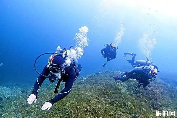 三亚浮潜哪里最好 三亚潜水方式有哪些 三亚浮潜哪里最好 三亚潜水方式有哪些