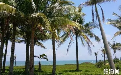 海南适合养老的地方在哪里 海南哪里适合养老居住 海南适合养老的地方在哪里 海南哪里适合养老居住