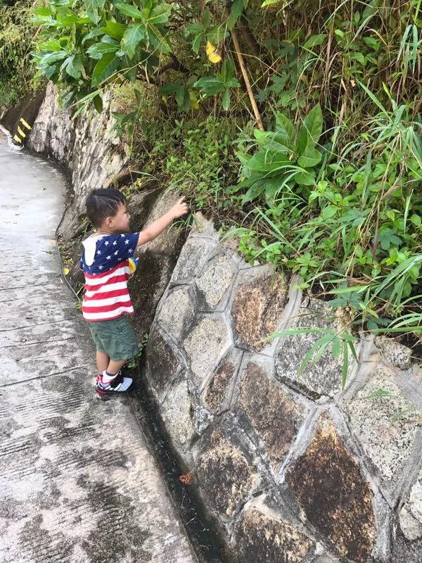三亚亲子游五天游攻略 三亚亲子游五天游攻略