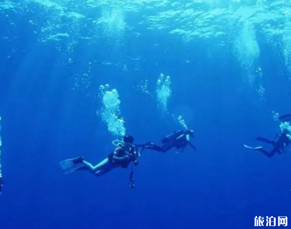 三亚户外潜水多少钱 三亚户外潜水多少钱