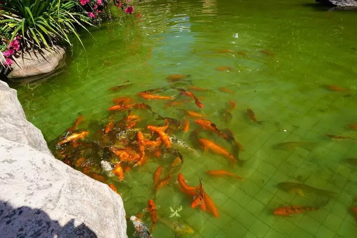 三亚的大小洞天景区值得一去吗 三亚的大小洞天有什么好玩的 三亚的大小洞天景区值得一去吗 三亚的大小洞天有什么好玩的