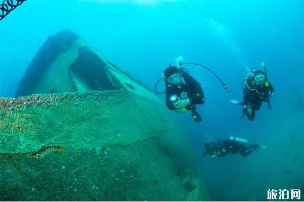 2019海南分界洲岛潜水主题活动 时间+内容