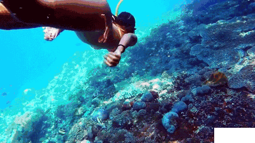 海南潜水哪里好