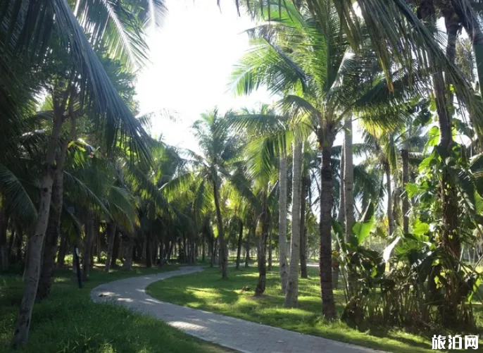 三亚必游的地方有哪些 三亚有哪几个景点值得去 三亚必游的地方有哪些 三亚有哪几个景点值得去