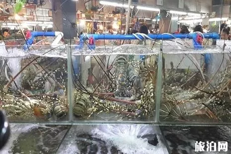 三亚的景点有哪些地方 三亚的景点有哪些地方