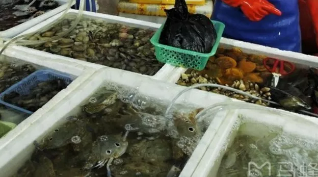 三亚市区哪里吃海鲜最好 三亚海鲜攻略