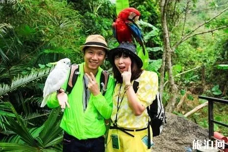 三亚八大景点有哪些 三亚旅游景点排名 三亚八大景点有哪些 三亚旅游景点排名