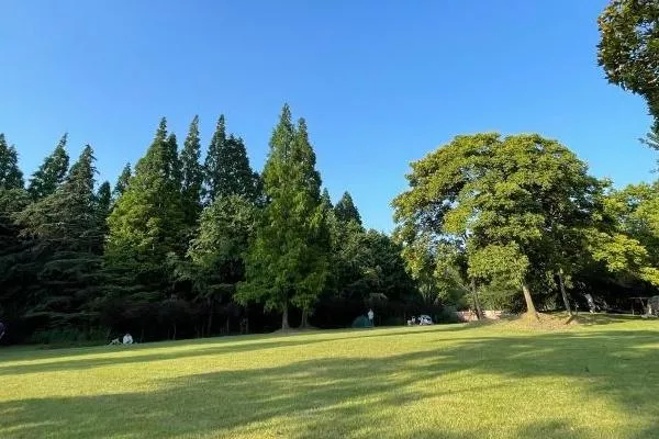 上海避暑的森林公园有哪些景点