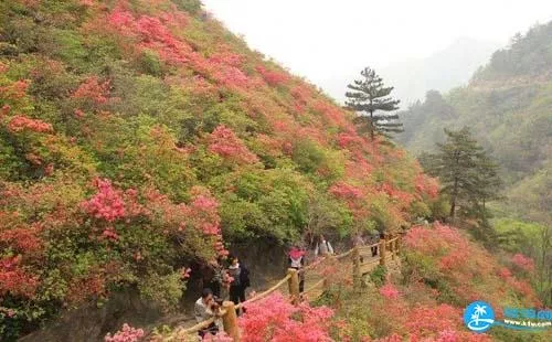 武汉木兰云雾山门票价格+优惠政策+注意事项 武汉木兰云雾山门票价格+优惠政策+注意事项