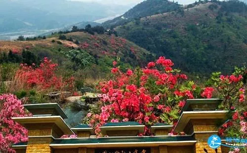 武汉木兰云雾山门票价格+优惠政策+注意事项 武汉木兰云雾山门票价格+优惠政策+注意事项